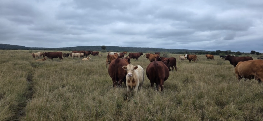 Commercial Property for Sale in Klerksdorp Rural North West